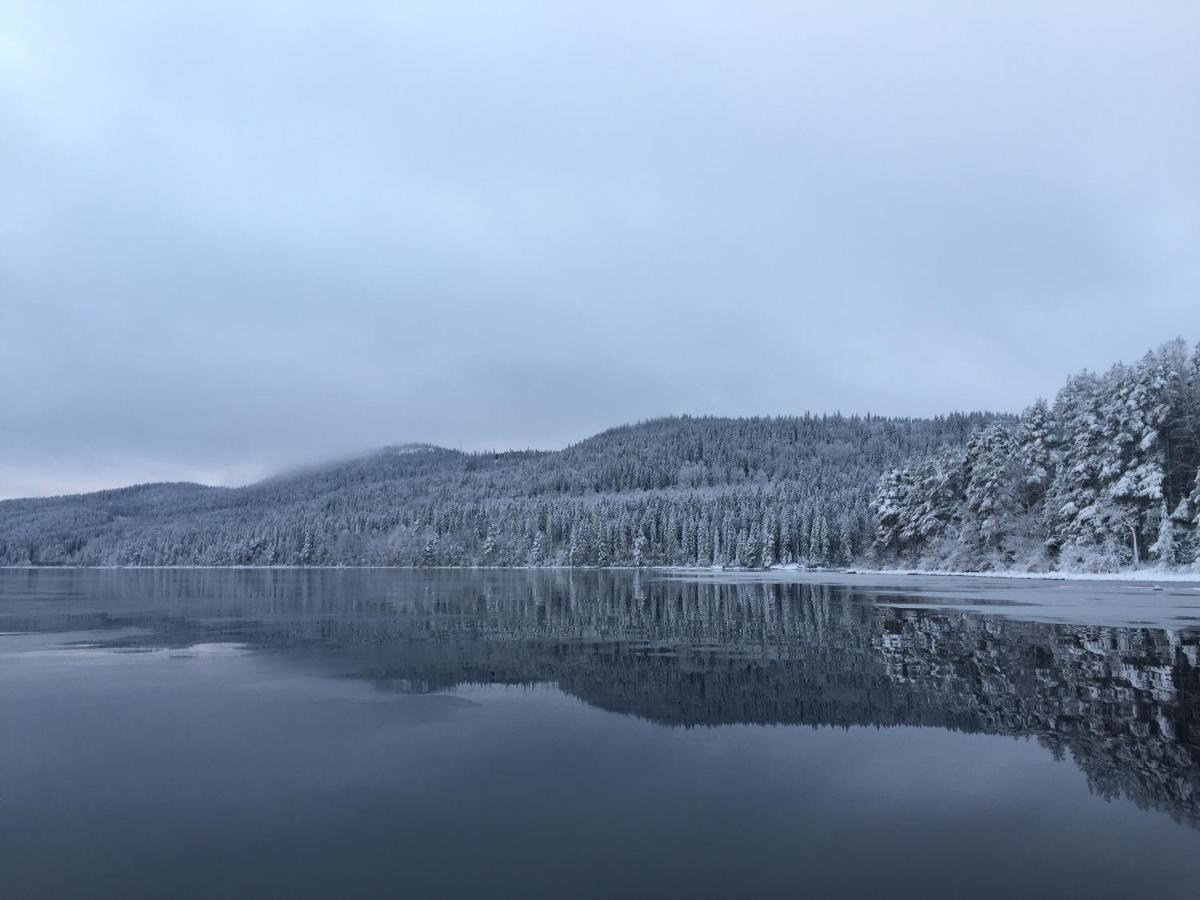 Вилла Aava Koli Колинкюла Экстерьер фото